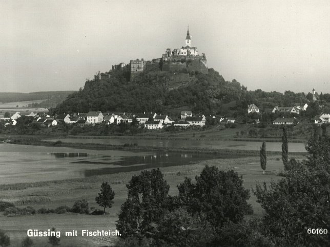 Gssing, Fischteich