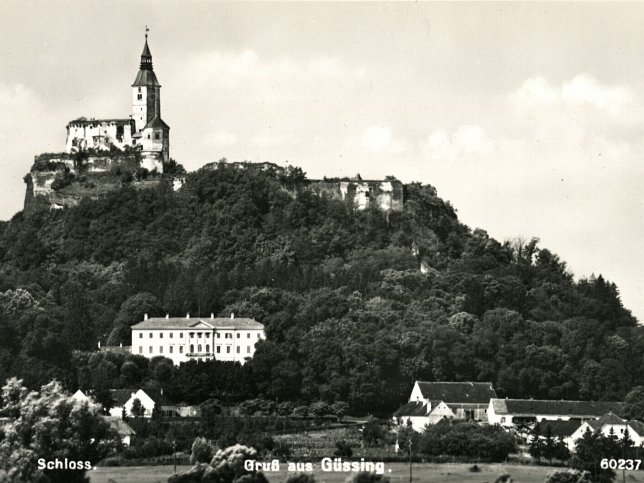 Gssing, Schloss