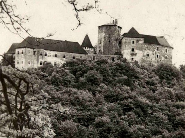 Lockenhaus, Burg