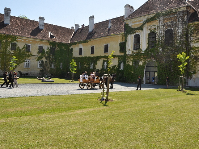 Schloss Kohfidisch