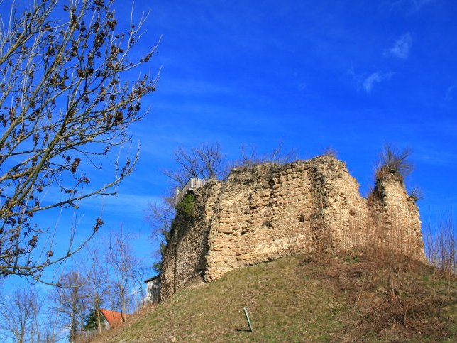 Burgruine Neuhaus am Klausenbach
