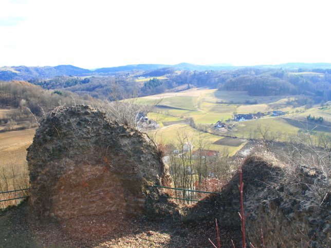 Burgruine Neuhaus am Klausenbach