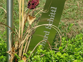 Friedhof Deutsch Kaltenbrunn