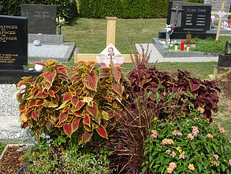 Friedhof Deutsch Kaltenbrunn