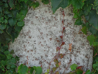 Friedhof Deutsch Kaltenbrunn