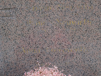 Friedhof Deutsch Kaltenbrunn