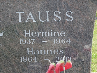 Friedhof Deutsch Kaltenbrunn