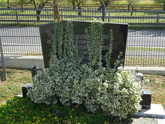 Friedhof Deutsch Kaltenbrunn