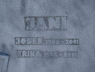 Friedhof Deutsch Tschantschendorf