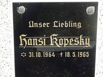 Friedhof Deutsch Tschantschendorf