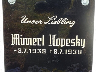 Friedhof Deutsch Tschantschendorf