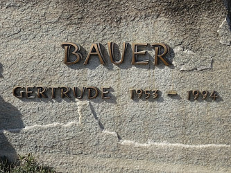 Friedhof Deutsch Tschantschendorf