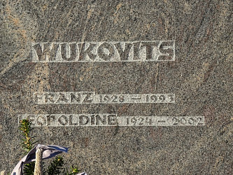 Friedhof Gerersdorf bei Gssing