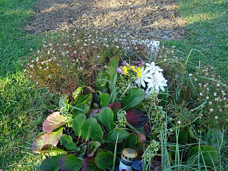 Friedhof Gerersdorf bei Gssing