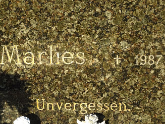 Friedhof Heiligenkreuz im Lafnitztal