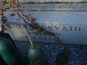 Friedhof Krottendorf bei G�ssing