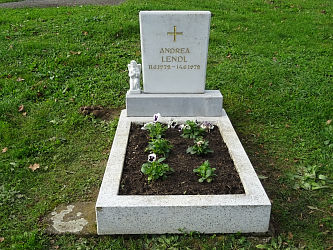 Friedhof Luising
