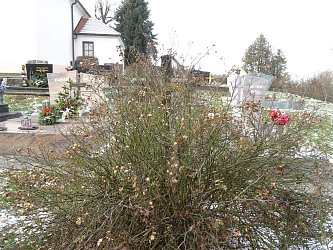 Friedhof Neusiedl bei G�ssing