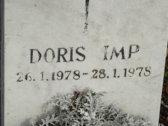 Friedhof Neusiedl bei G�ssing