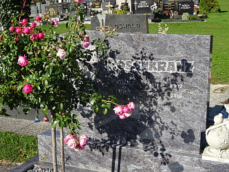 Friedhof St. Michael im Burgenland