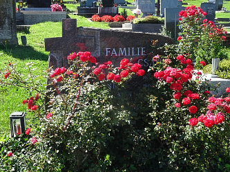 Friedhof Stegersbach