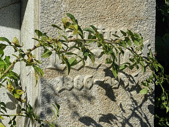 Friedhof Stegersbach