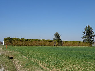Friedhof Unterbildein