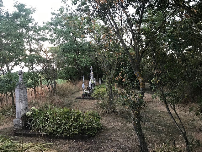 Kleylehof und Alt-Saida, Friedhof