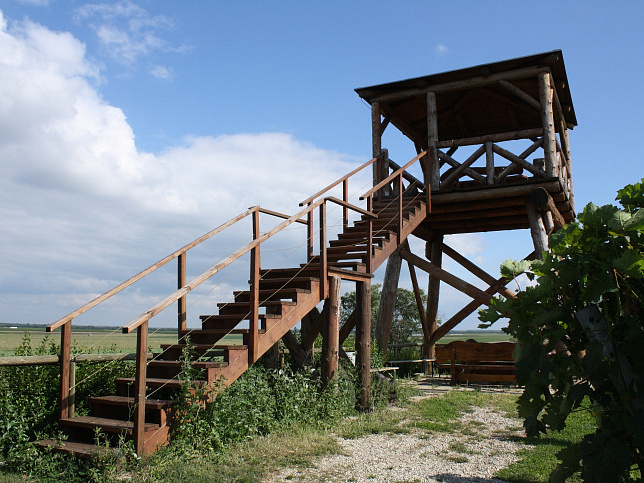 Andau, Andreasberg mit Schauweingarten