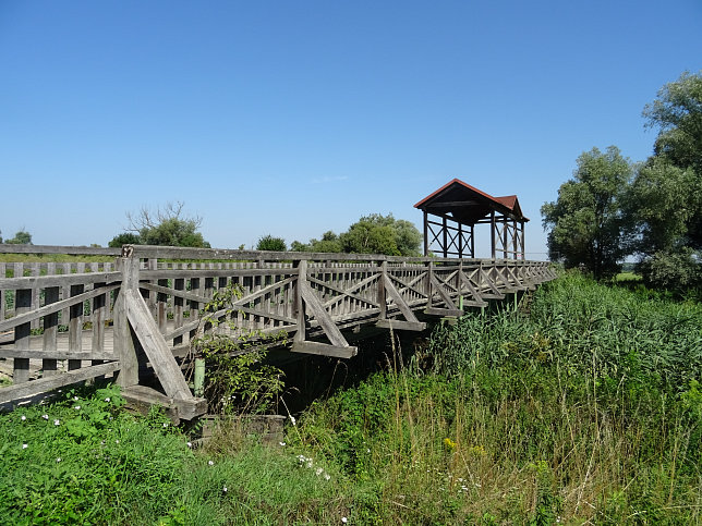 Andau, Brücke von Andau