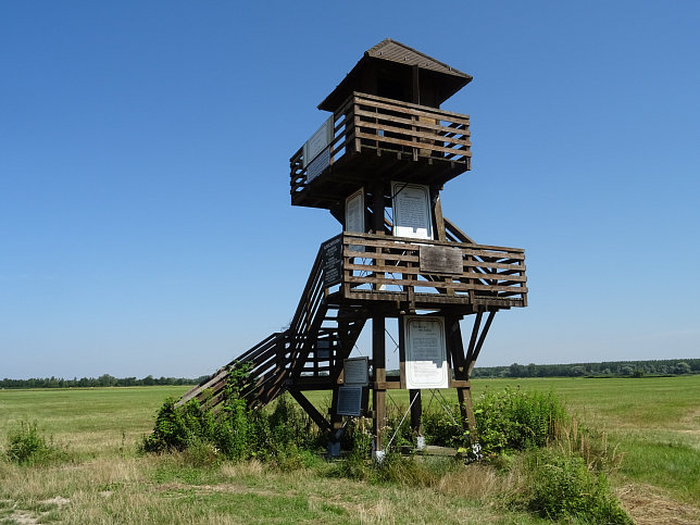 Andau, Aussichtsturm