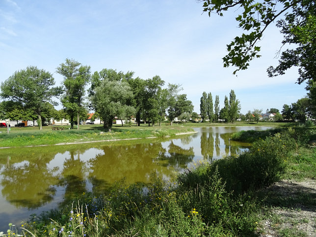 Apetlon, Sandgrube