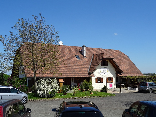 Burgauberg, Buschenschank 