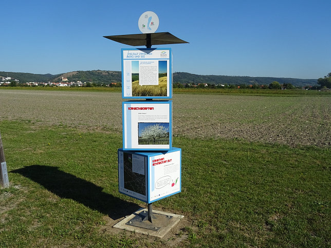 Donnerskirchen, Kirschsortengarten