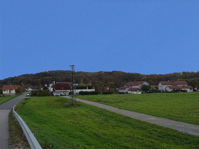 Eisenzicken