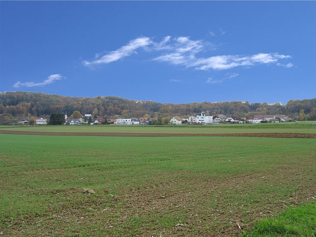 Eisenzicken