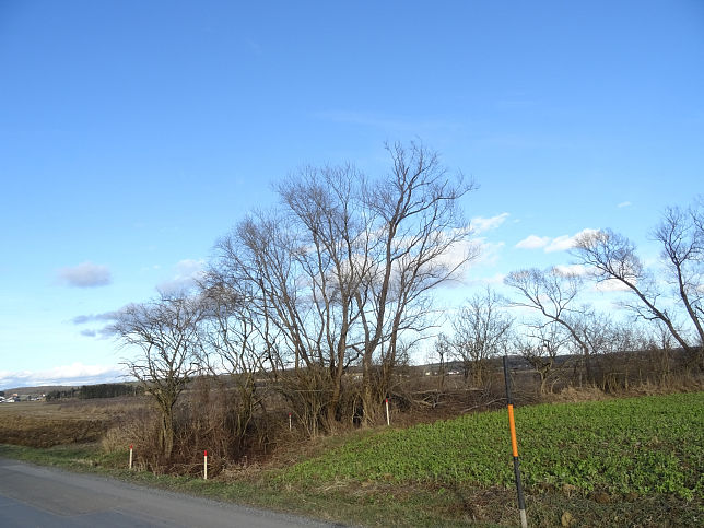 Eltendorf, Mhlbach zur Buchmann-Mhle