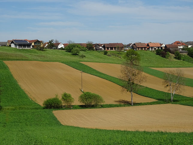Gromrbisch
