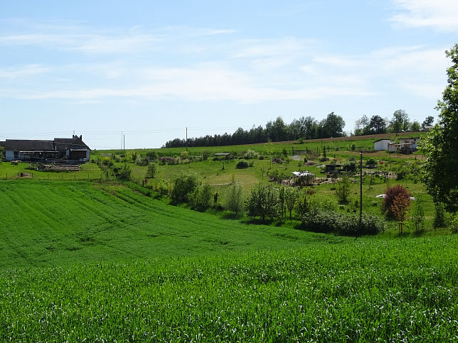 Großmürbisch, Kitziberge