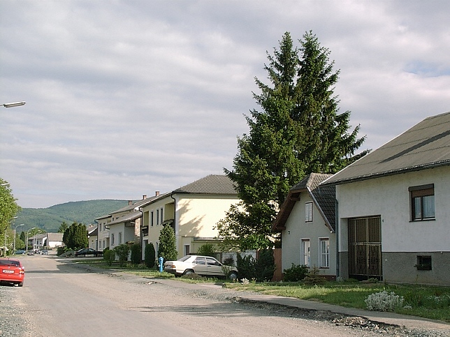 Gnseck