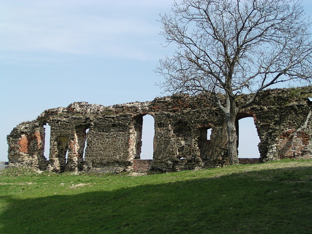 Burg Gssing, Innenhof