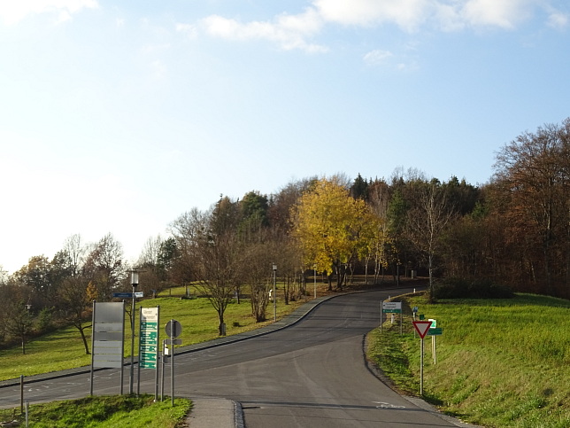 Henndorf, Henndorfer Strae