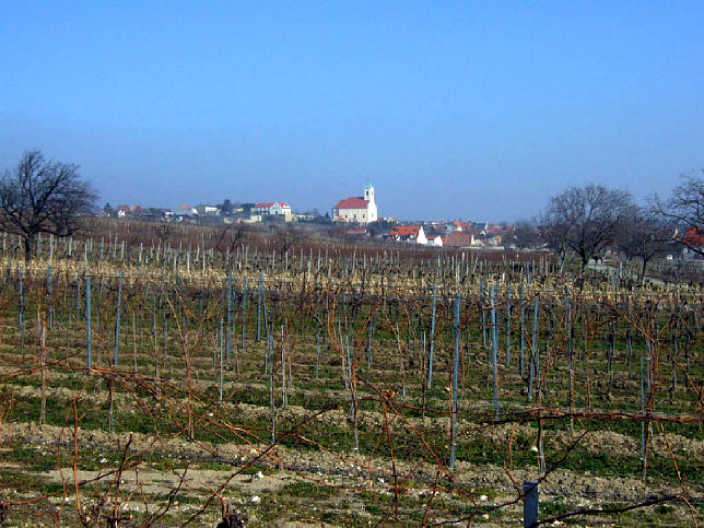 Jois, Weingrten