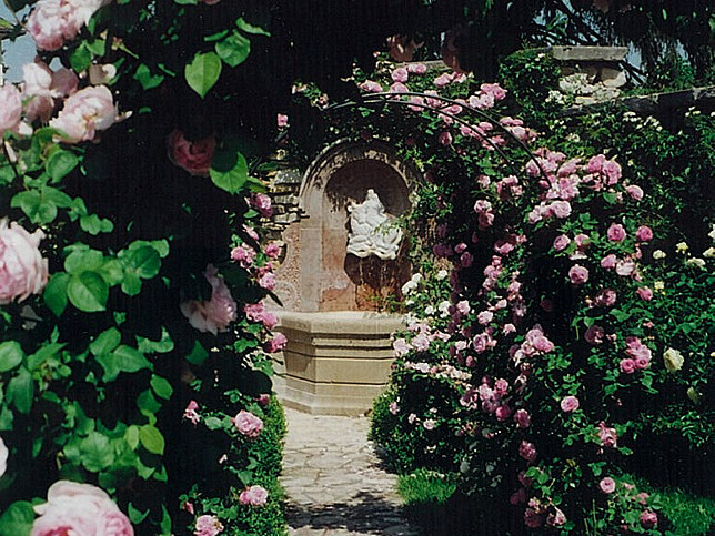 Kaisersteinbruch, Rosengarten