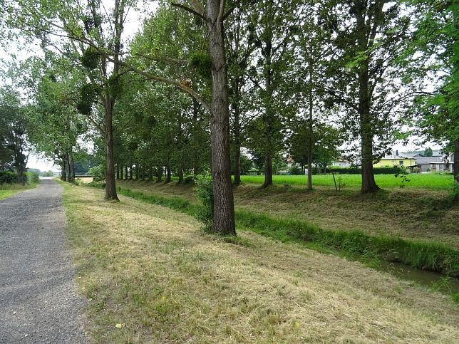 Kitzladen, Stgersbach