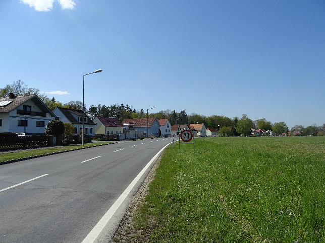 Kohfidisch