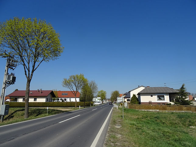Kotezicken