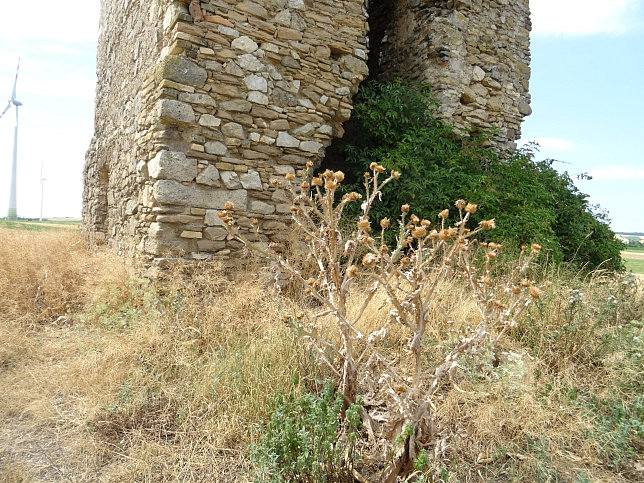 Lebarn, Heidenturm bzw. der Turm