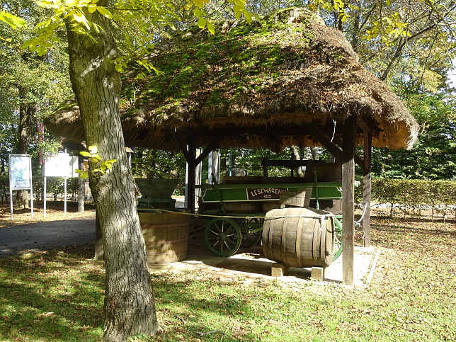 Moschendorf, Weinmuseum