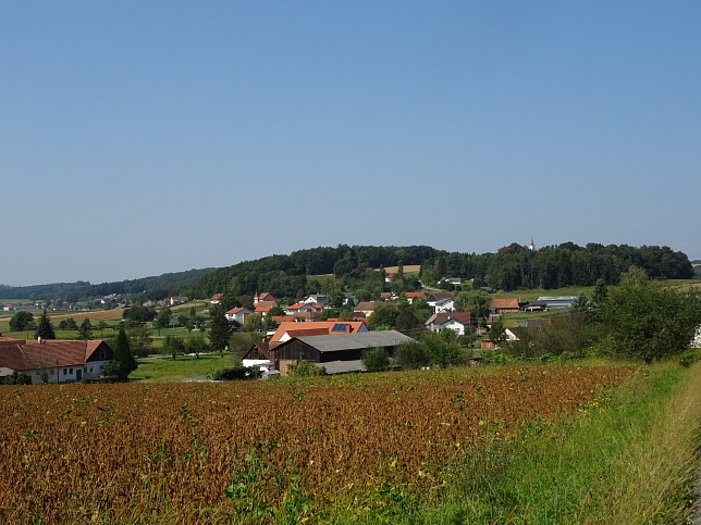 Neusiedl bei Güssing, Krobotheckstraße